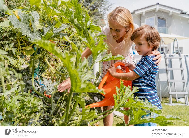 Mutter und Sohn gießen Pflanzen im Garten T-Shirts Arm umlegen Umarmung Umarmungen sommerlich Sommerzeit behüten behütet geborgen Sicherheit geniessen Genuss