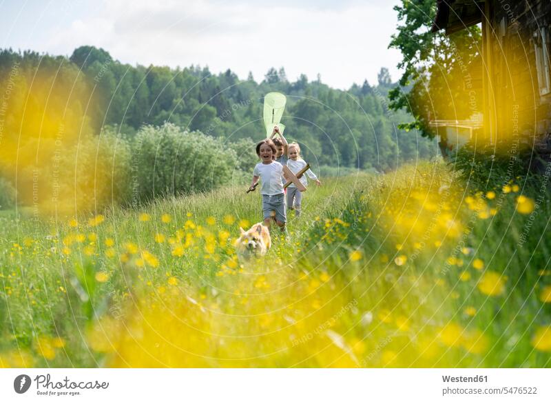 Sorglose Kinder mit Hund rennen auf Graslandschaft im Wald Farbaufnahme Farbe Farbfoto Farbphoto Freizeitbeschäftigung Muße Zeit Zeit haben Freizeitkleidung