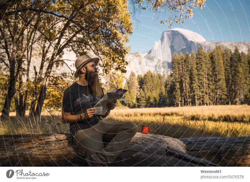 USA, Kalifornien, bärtiger Mann mit Landkarte auf einem Baumstamm sitzend im Yosemite National Park Bart Bärte Holzstamm Holzstämme sitzt Männer männlich Karte