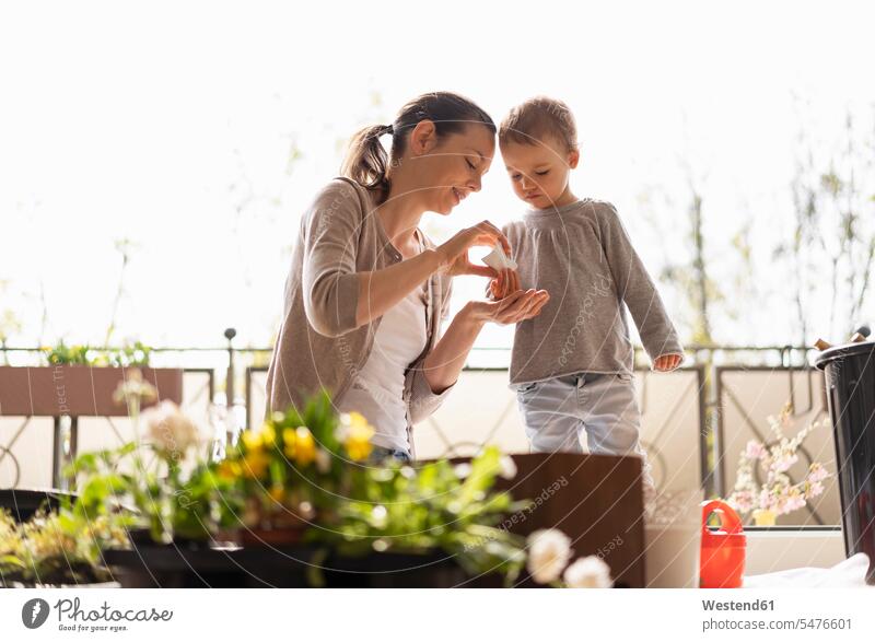 Mutter und Tochter pflanzen Blumen zusammen auf dem Balkon Deutschland lehren unterrichten beibringen ein Elternteil streuen einstreuen zusehen zusehend