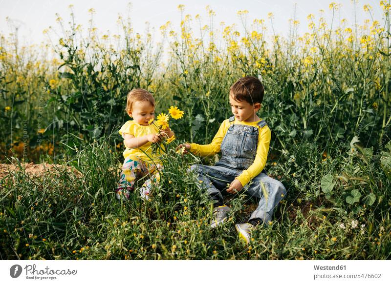 Ein kleiner Junge und ein kleines Mädchen sitzen auf einer Wiese mit einem Strauss gepflückter Blumen Bund Bündel Buendel Wiesen sitzend sitzt weibliche Babys
