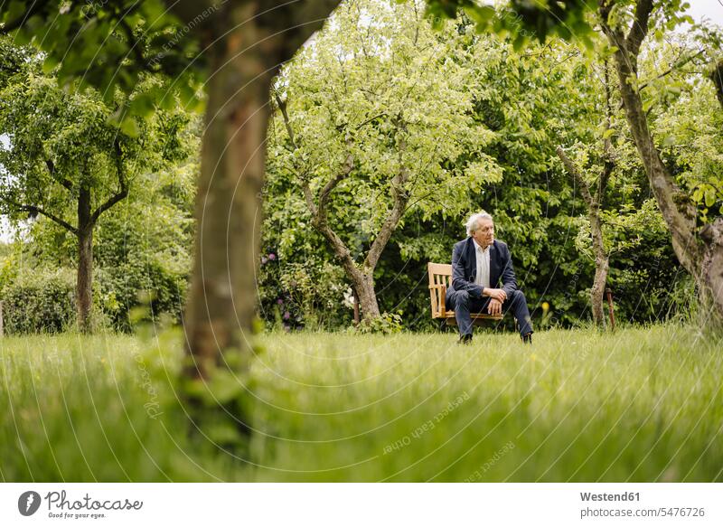 Leitender Geschäftsmann sitzt auf einem Stuhl in einem ländlichen Garten geschäftlich Geschäftsleben Geschäftswelt Geschäftsperson Geschäftspersonen