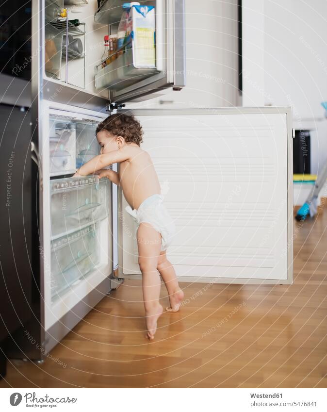 Baby Junge trägt Windel erforschen Kühlschrank in der Küche Kühlschränke Küchen männliche Babys männliches Baby männliche Babies erkunden Erforschung Erkundung
