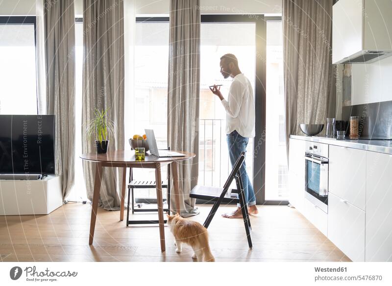 Mann steht an französischer Tür in moderner Wohnung mit Smartphone Tiere Tierwelt Haustiere Katzen Tische Holztische Rechner Laptops Notebook Notebooks