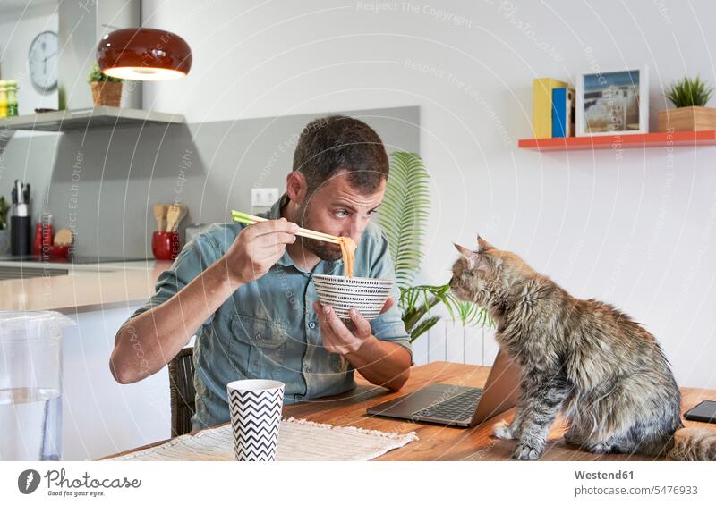Männlicher Freiberufler zeigt der Katze, die zu Hause auf dem Esstisch sitzt, Nudeln Farbaufnahme Farbe Farbfoto Farbphoto Spanien Innenaufnahme Innenaufnahmen