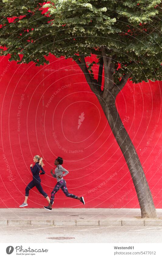 Zwei sportliche junge Frauen laufen zusammen in der Stadt an der roten Wand vorbei roter rotes rennen Joggen Jogging staedtisch städtisch Freundinnen weiblich