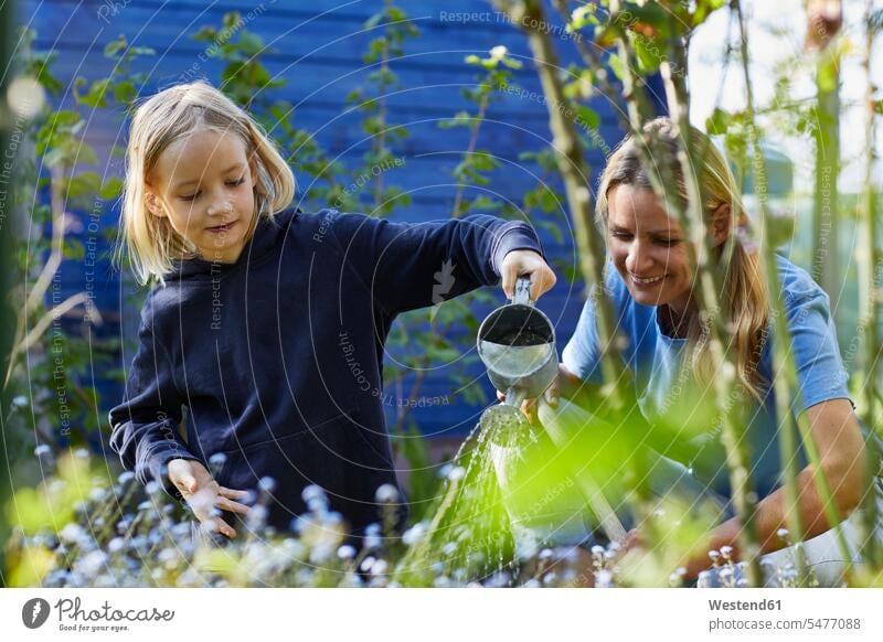 Mutter und Tochter giessen Blumen im Kleingarten Leute Menschen People Person Personen Europäisch Kaukasier kaukasisch 2 2 Menschen 2 Personen zwei