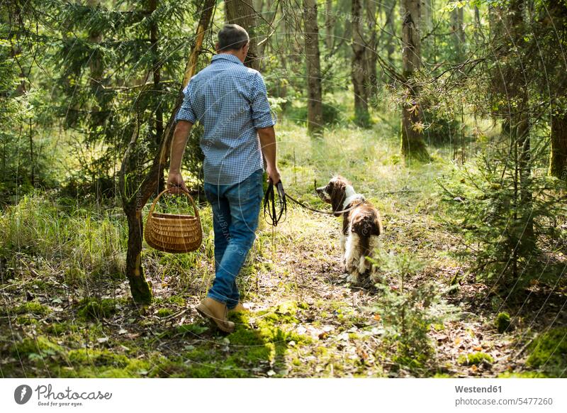Erwachsener Mann geht mit Hund spazieren und sucht im Wald nach Pilzen Farbaufnahme Farbe Farbfoto Farbphoto Außenaufnahme außen draußen im Freien Tag