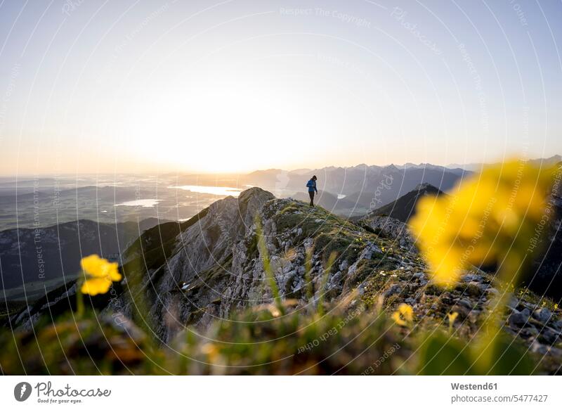 Wanderer auf Aussichtspunkt bei Sonnenaufgang, Brentenjoch, Bayern, Deutschland Wanderung früh Frühe Morgen gelbe gelber gelbes frei Abenteuer abenteuerlich