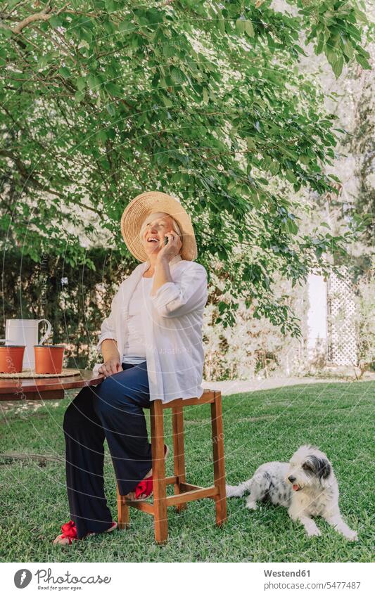 Fröhliche ältere Frau spricht am Smartphone, während sie im Hof auf einem Hocker neben einem Hund sitzt Farbaufnahme Farbe Farbfoto Farbphoto Spanien