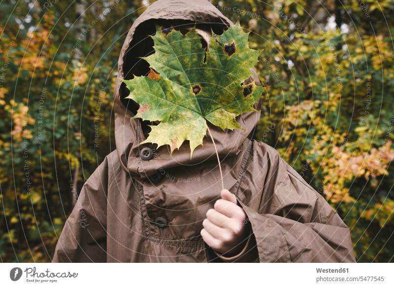 Junge trägt braunen Regenmantel, der sein Gesicht hinter herbstlichem Ahornblatt verbirgt Kapuzen Farben Farbtoene Farbton Farbtöne Muße Forst Wälder außen