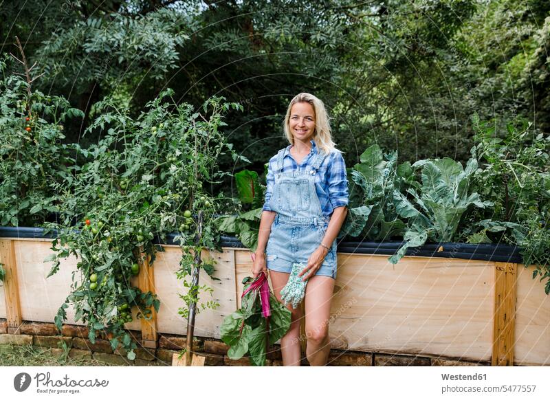Blonde Frau erntet Mangold von ihrem Hochbeet in ihrem eigenen Garten freuen Glück glücklich sein glücklichsein zufrieden Gartenarbeit Gartenbau Muße außen