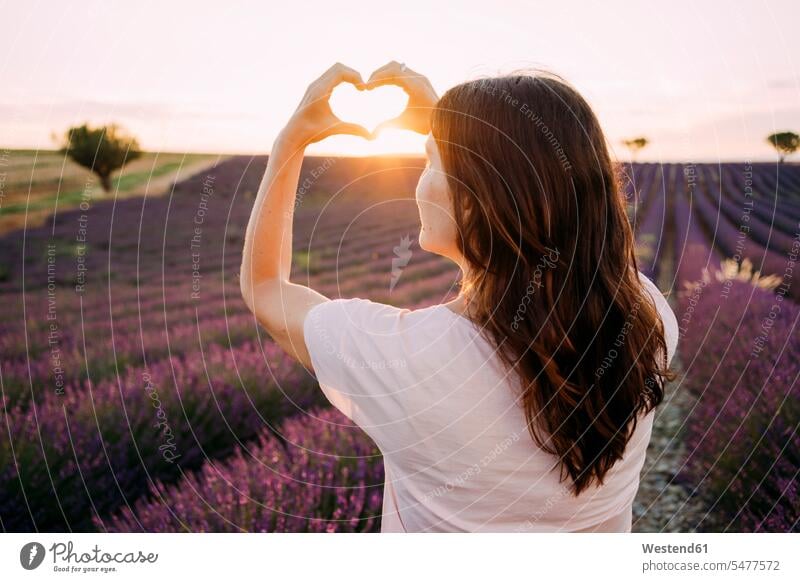 Frankreich, Valensole, Rückenansicht einer Frau, die bei Sonnenuntergang vor einem Lavendelfeld ihr Herz mit den Händen formt Herzform Herzformen Herzen