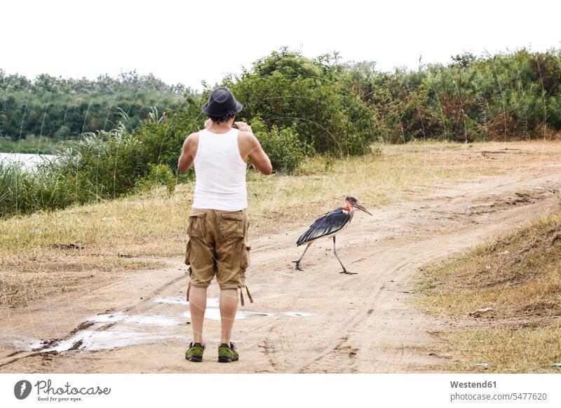 Uganda, Königin-Elisabeth-Nationalpark, Touist beim Fotografieren eines Marabu Europäer Kaukasier Europäisch kaukasisch Naturerlebnis Erlebnis Erlebnisse