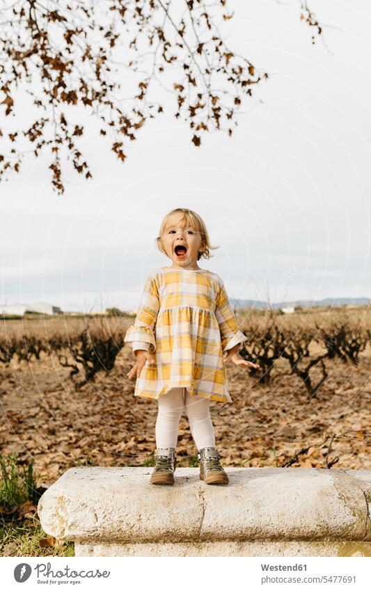 Kleines Mädchen schreiend auf einer Parkbank Freude freuen laut Schrei Schreie Verlassenheit verlassen weibliche Babys weibliches Baby weibliche Babies stehen