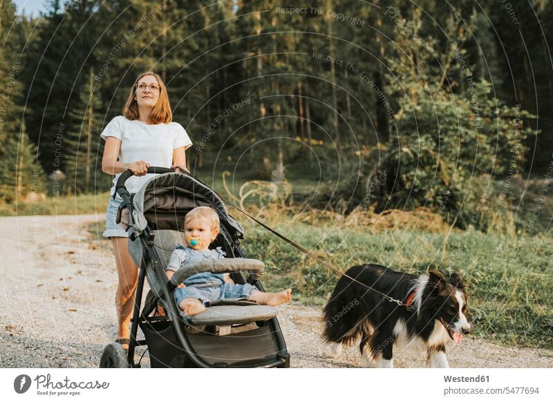Mutter mit Baby im Kinderwagen und Hund beim Spaziergang auf einem Waldweg Tiere Tierwelt Haustiere Hunde T-Shirts Brillen entspannen relaxen gehend geht