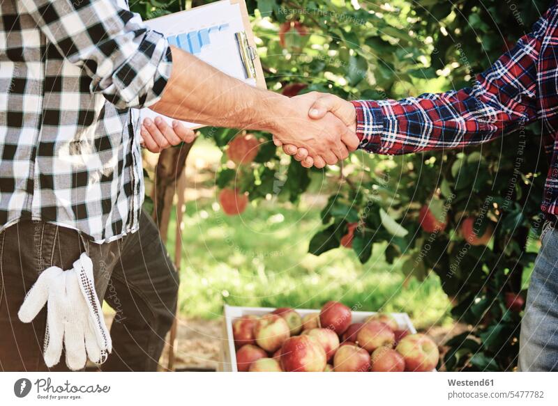 Obstbauern einigen sich auf ein Abkommen, schütteln Hände geschäftlich Geschäftsleben Geschäftswelt Geschäftsperson Geschäftspersonen Geschäftsfreund