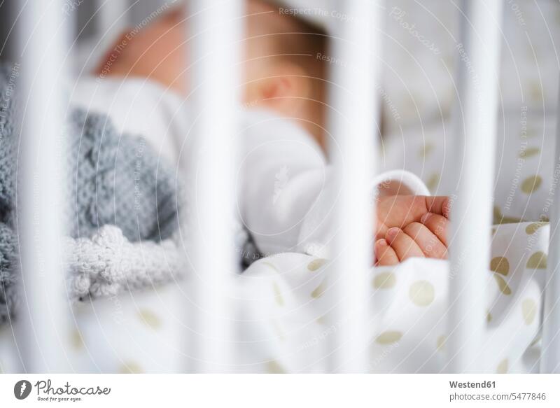 Defokussierte Aufnahme eines in der Krippe liegenden Babys Babies Säuglinge Kind Kinder Kinderbett Kinderbetten liegt Mensch Menschen Leute People Personen Bett