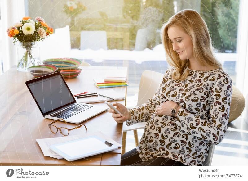 Lächelnde schwangere Frau, die von zu Hause aus arbeitet Zuhause daheim lächeln arbeiten Arbeit Schwangere weiblich Frauen Erwachsener erwachsen Mensch Menschen