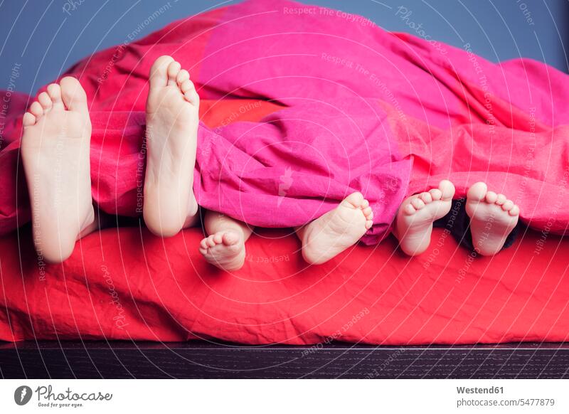 Füße von drei Geschwistern, die nebeneinander im Bett liegen Betten entspannen relaxen schlafend früh Frühe Morgen behüten behütet geborgen Sicherheit Farben