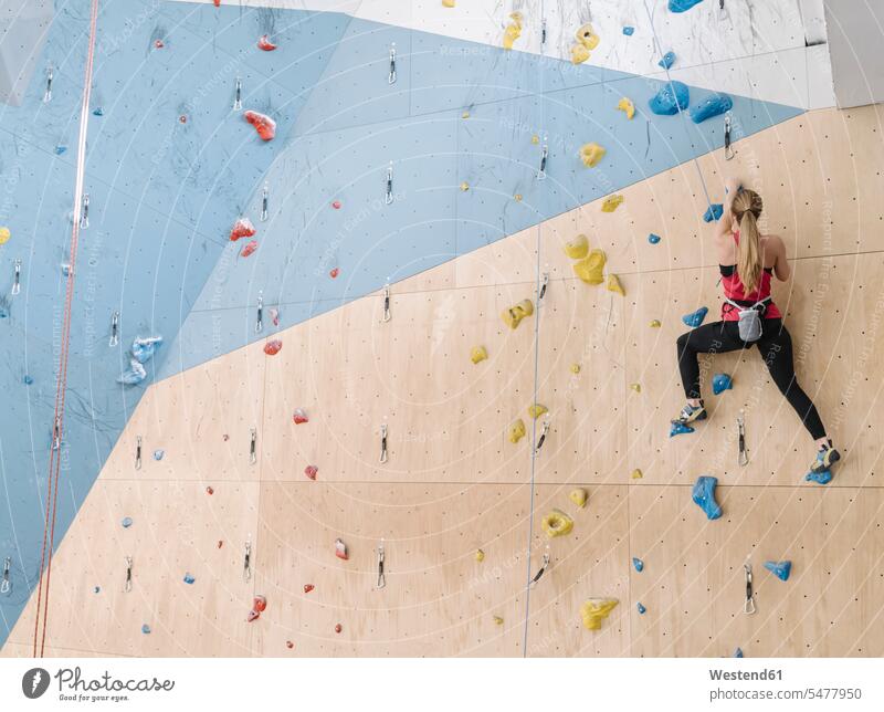 Frau klettert in einer Kletterhalle an der Wand (value=0) Leute Menschen People Person Personen Europäisch Kaukasier kaukasisch 1 Ein ein Mensch nur eine Person