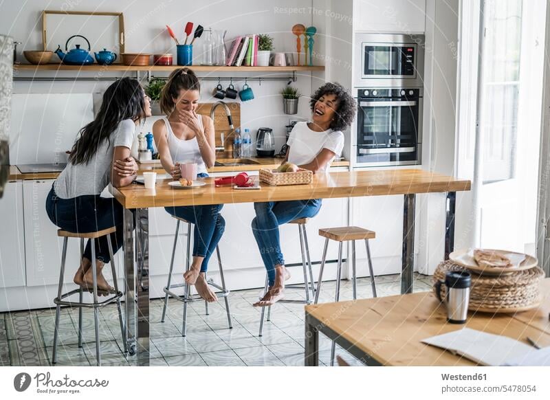 Drei glückliche Frauen sitzen am Küchentisch zu Hause gesellig Zuhause daheim Freundinnen sitzend sitzt Glück glücklich sein glücklichsein Kuechentisch
