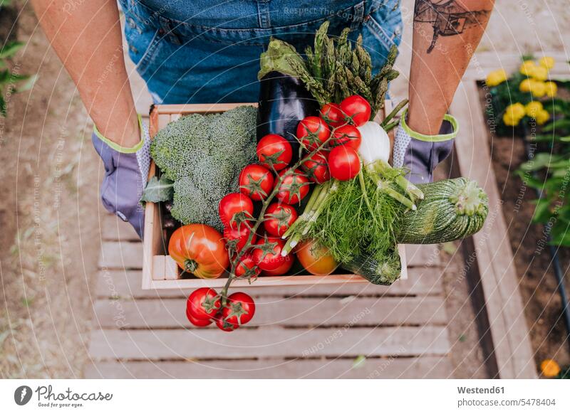 Nahaufnahme einer Frau, die im Gemeinschaftsgarten verschiedene Gemüse in einer Holzkiste hält Farbaufnahme Farbe Farbfoto Farbphoto Spanien Freizeitkleidung