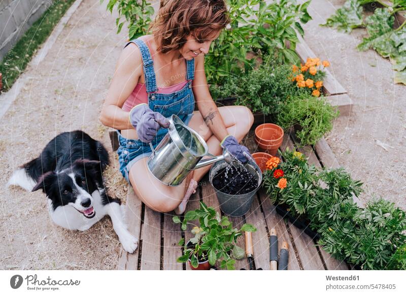 Frau gießt Pflanze, während sie mit einem Border Collie im Gemüsegarten sitzt Farbaufnahme Farbe Farbfoto Farbphoto Spanien Freizeitkleidung Freizeitbekleidung