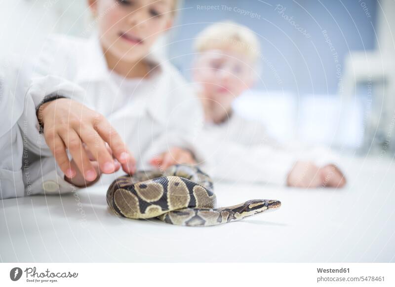 Schülerinnen und Schüler im naturwissenschaftlichen Unterricht untersuchen Schlange Experiment experimentieren Schule Schulen prüfen Naturwissenschaftskurs