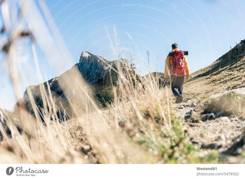 Österreich, Tirol, Mann beim Wandern in den Bergen Gebirge Berglandschaft Gebirgslandschaft Gebirgskette Gebirgszug Männer männlich wandern Wanderung Landschaft