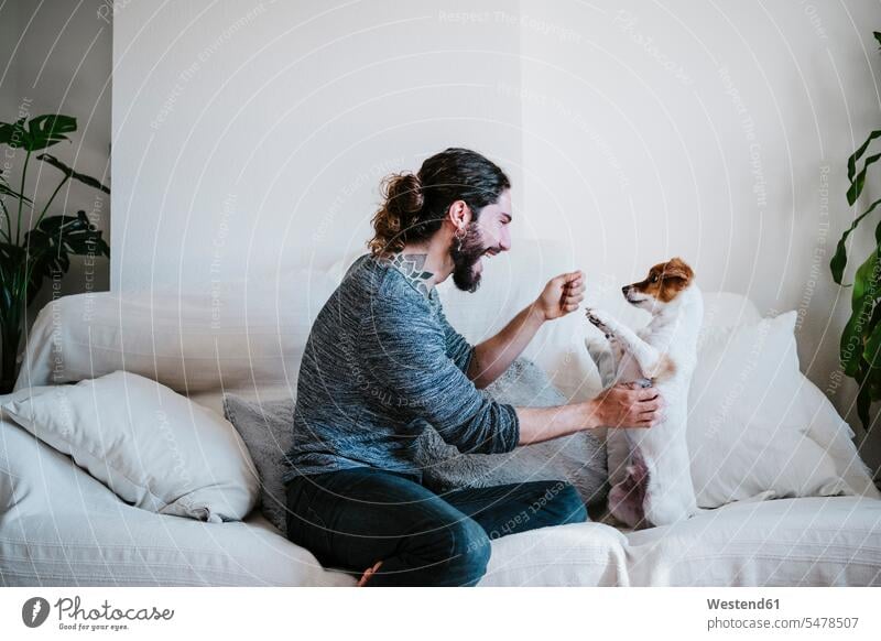Glücklicher Mann hat Spaß beim Spielen mit Hund zu Hause Farbaufnahme Farbe Farbfoto Farbphoto Innenaufnahme Innenaufnahmen innen drinnen Innenausstattung