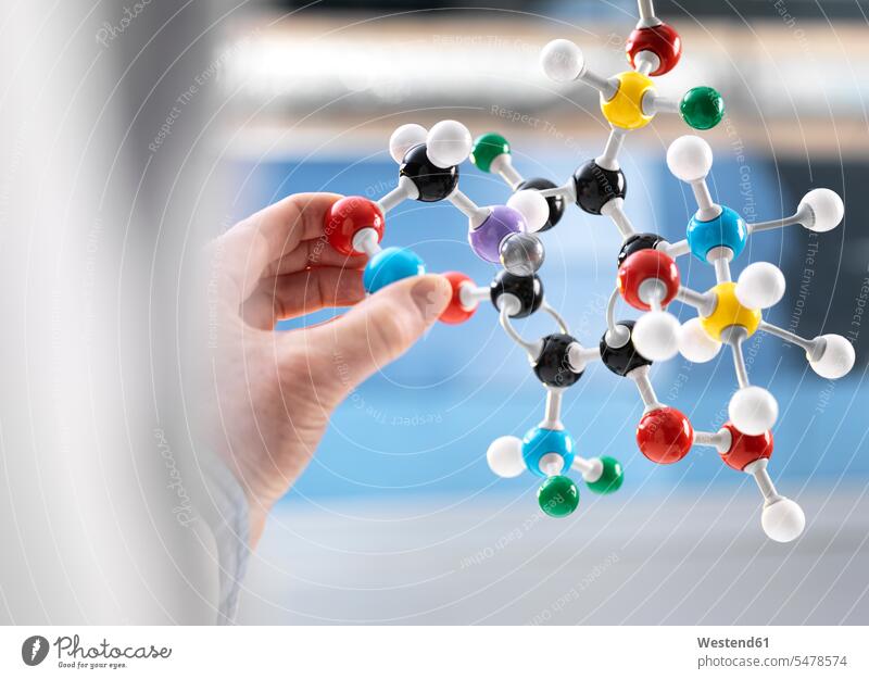 Wissenschaftlerin mit einem molekularen Modell Hand Hände Chemie halten Molekül Molekuele Moleküle wissenschaftlich Wissenschaften Molekularstruktur