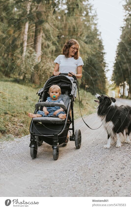 Mutter mit Baby im Kinderwagen und Hund beim Spaziergang auf einem Waldweg Tiere Tierwelt Haustiere Hunde T-Shirts Brillen entspannen relaxen gehend geht