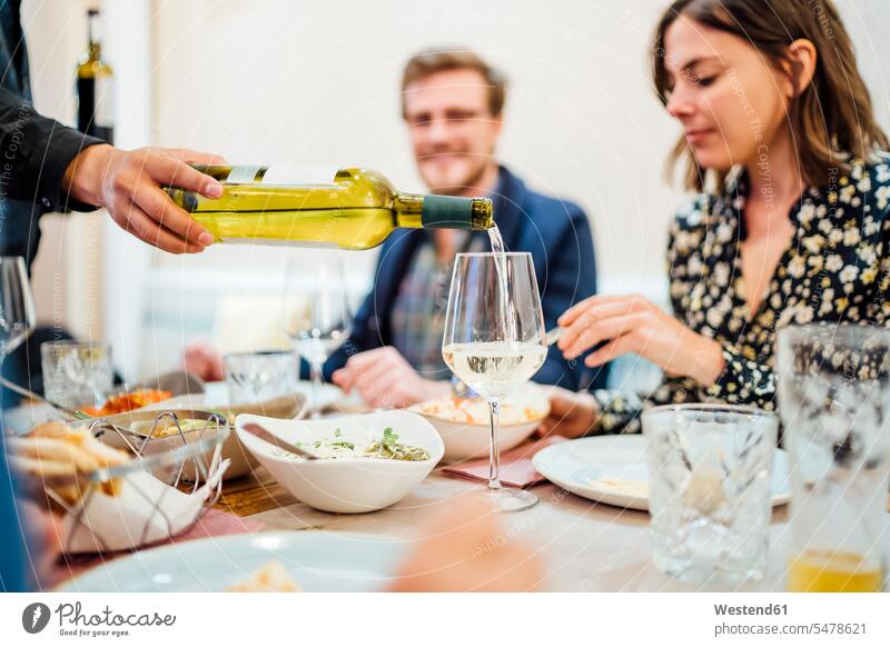 Freunde essen in einem indischen Restaurant, Kellner gießt Wein in Gläser Leute Menschen People Person Personen Europäisch Kaukasier kaukasisch indischer