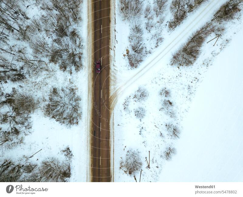 Russland, Gebiet Moskau, Luftaufnahme der kahlen Bäume in der Umgebung der Landstraße im Winter ländliches Motiv nicht städtisch Oblast Moskau Niemand weiß