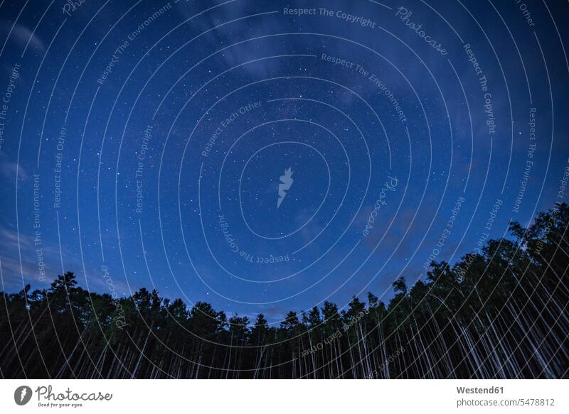 Russland,, Amur-Oblast, Sternenhimmel über dem Wald Nacht nachts Russische Föderation Seja-Staudamm Sejadamm abgelegen abgeschieden Natur Weite Textfreiraum