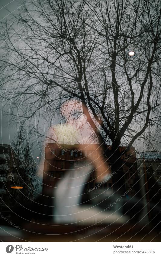 Spiegelung von Gebäuden und kahlem Baum auf der Fensterscheibe eines Cafés mit Frau im Hintergrund Fensterscheiben Glasscheiben abends Jahreszeiten winterlich