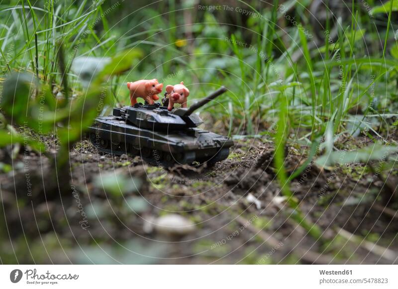 Nahaufnahme von Spielzeugtieren mit Panzer an Land gegen Pflanzen Tierdarstellung Panzerwagen Tank Tanks Panzerkampfwagen Militärfahrzeuge Kraftfahrzeug KFZ