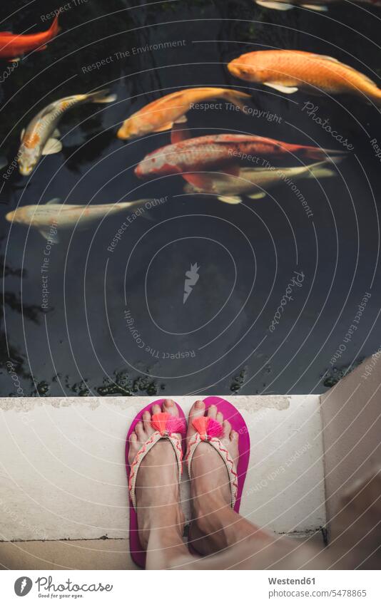 Nahaufnahme einer Frau in Flip-Flops, die mit Kois an einem Pool steht Tiere Tierwelt Fische Pisces Jahreszeiten sommerlich Sommerzeit stehend Muße Wasser