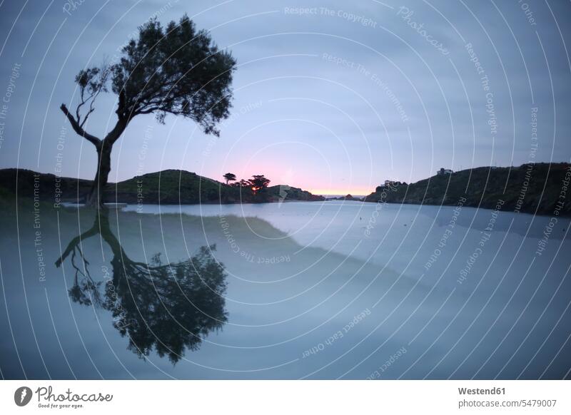 Spanien, Cadaques, Costa Brava, Wasser Reflexion von Baum in der Morgendämmerung morgens früh Frühe Textfreiraum Schönheit der Natur Schoenheit der Natur Ruhe