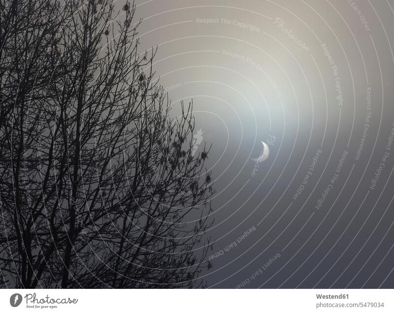 Österreich, Salzkammergut, Mondsee, Blick auf Sonnenfinsternis im nebligen Winter Eklipsen Sonnenfinsternisse Mondsichel Farbaufnahme Farbphoto Farbfoto Farbe