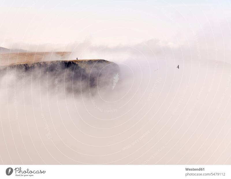 UK, Wales, Brecon Beacons, Junge Frau beim Wandern in Bannau Sir Gaer Ridge stehend steht frei auf Achse in Bewegung Abenteuer abenteuerlich Wolken Landschaften