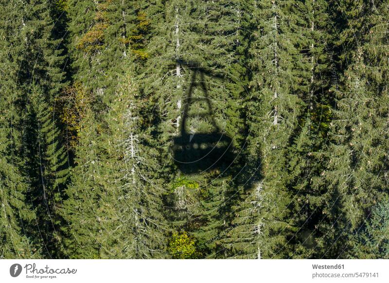 Schatten der Gondelbahn Schönheit der Natur Schoenheit der Natur Textfreiraum Tourismus Wald Forst Wälder Seilbahn Transport Transporte Beförderungen