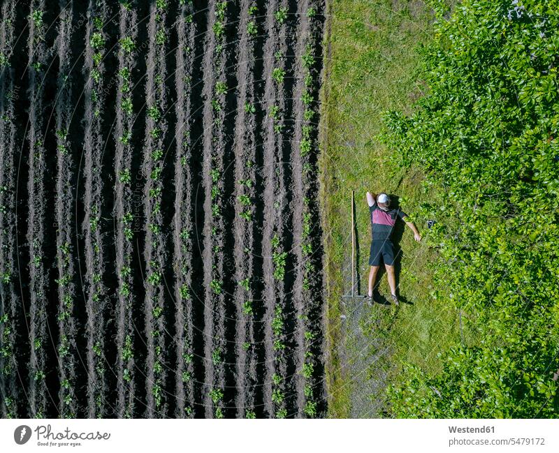Luftaufnahme eines Mannes, der sich neben einem Kartoffelfeld entspannt entspannen relaxen Muße Grund Land Felder Flora Pflanzen Pflanzenwelt Nutzpflanzen