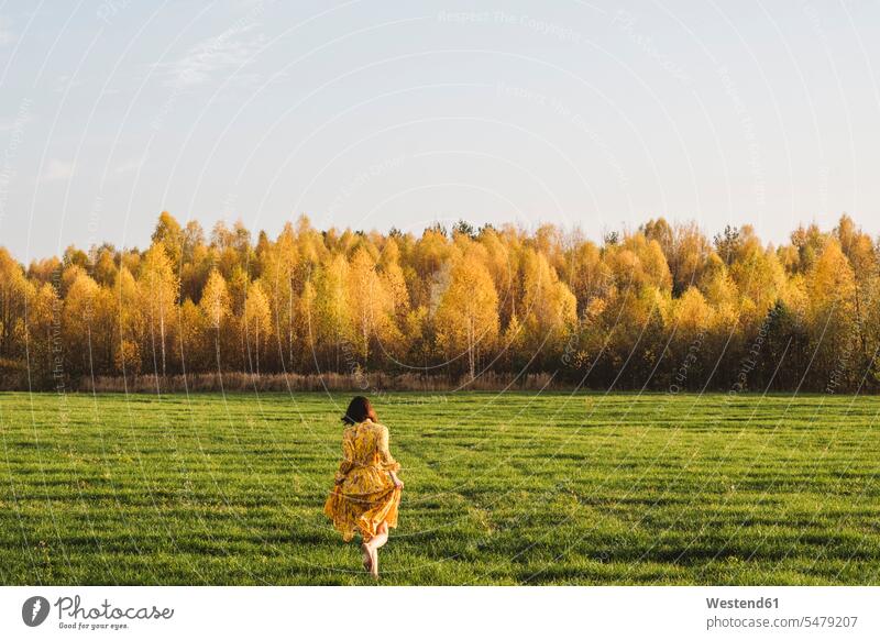 Mittelgroße erwachsene Frau, die an einem sonnigen Tag auf Gras im Herbstfeld geht Farbaufnahme Farbe Farbfoto Farbphoto Außenaufnahme außen draußen im Freien