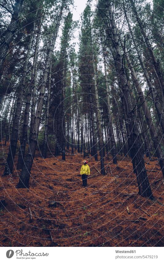 Mann im Wald stehend, Spanien steht erforschen Erforschung erkunden Erkundung auf Achse in Bewegung alleine einzeln Travel Forst Wälder außen draußen im Freien