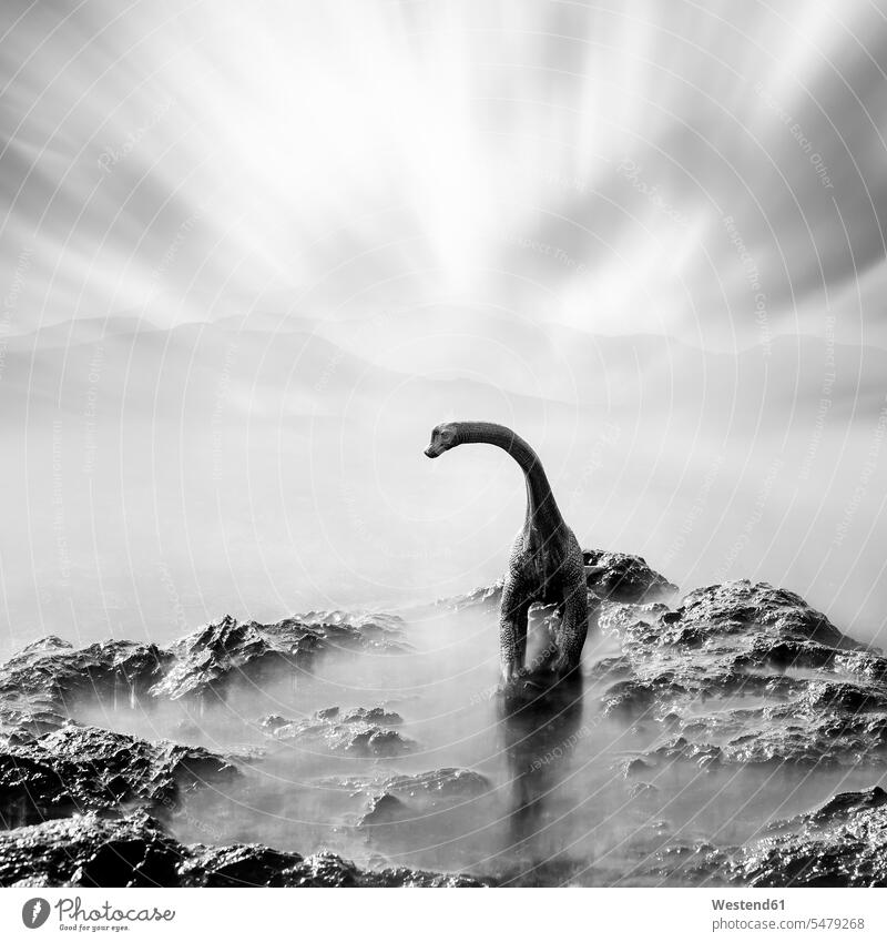 Ein Spielzeug-Dinosaurier auf einem Stein, schwarz und weiß, Langzeitbelichtung ausgestorbene Tierart ausgestorbene Tierarten ausgestorbenes Tier düster finster