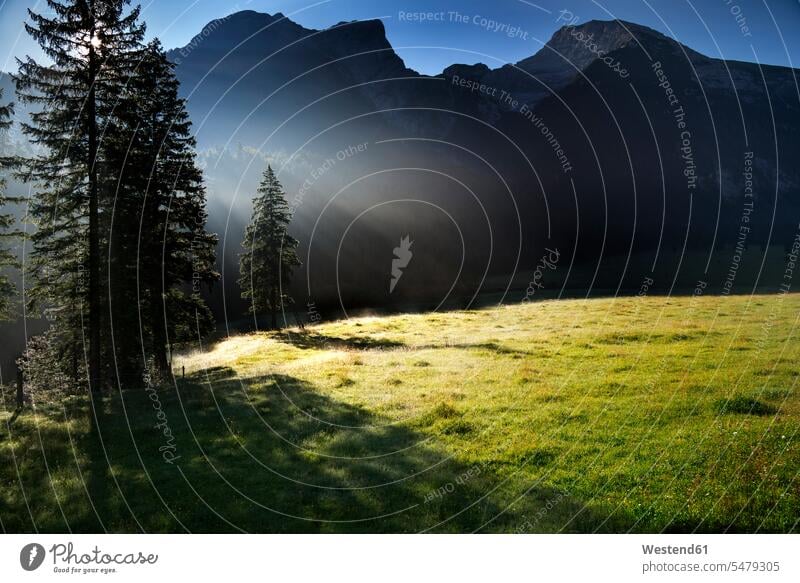 Österreich, Tirol, Hinterriss, Ahornboden am Vormittag Ruhe Beschaulichkeit ruhig Gegenlicht Gegenlichtaufnahmen Berg Berge Natur Sonnenstrahl Sonnenstrahlen