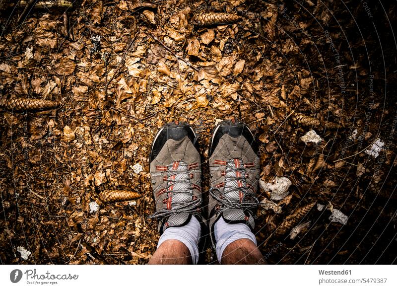 Füße eines auf dem Waldboden stehenden Mannes in Wanderschuhen Außenaufnahme außen draußen im Freien Tag Tageslichtaufnahme Tageslichtaufnahmen Tagesaufnahme