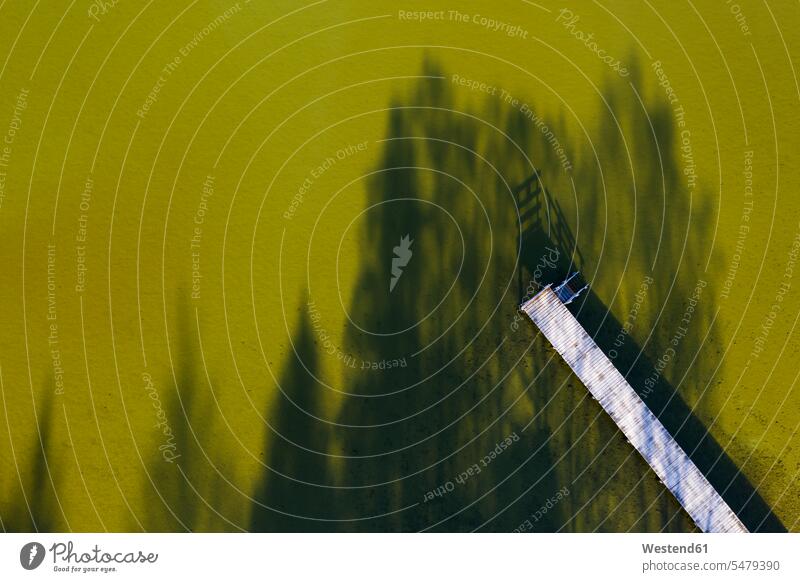 Luftaufnahme der Seebrücke am Starnberger See Baum Bäume Baeume Ruhige Szene Ruhe ruhig Wasseroberfläche Wasseroberflaeche Wasseroberflächen Wasseroberflaechen